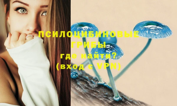 ALPHA PVP Абинск