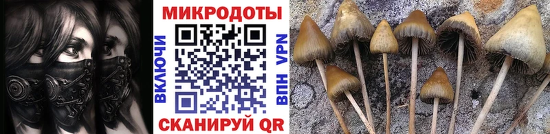 Псилоцибиновые грибы прущие грибы  закладка  Пойковский 